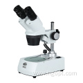 Tabletop Step Stereoscopic Binocular Microscope